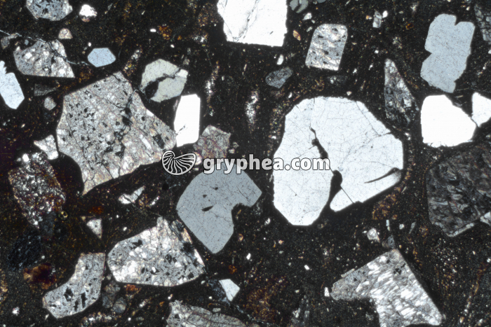 Rhyolite LPA x6,3 - gryphea.org